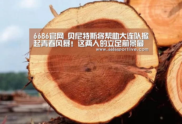 6686体育