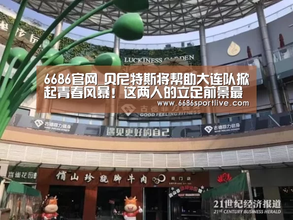6686网站