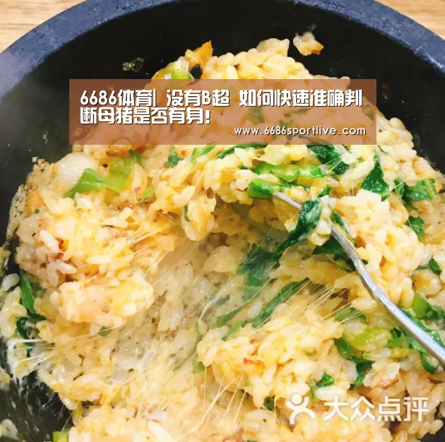 6686网站