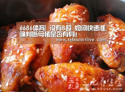 6686体育
