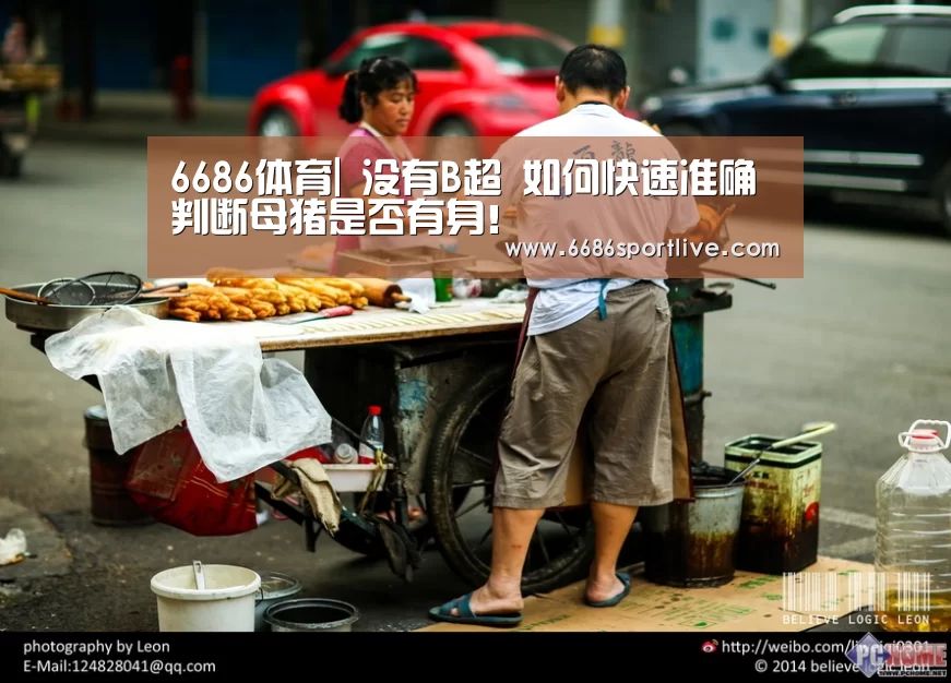 6686官网