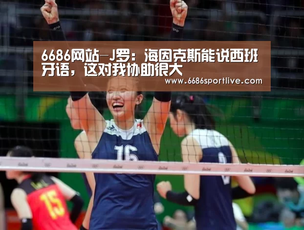 6686网站