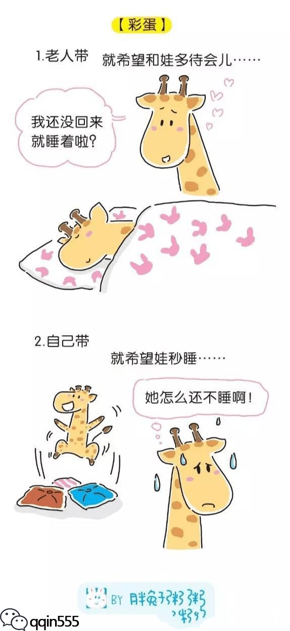 6686赛程